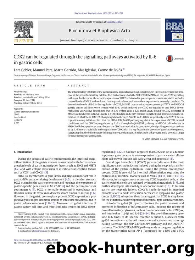 CDX2 can be regulated through the signalling pathways activated by IL-6 in gastric cells by Lara Cobler & Manuel Pera & Marta Garrido & Mar Iglesias & Carme de Bolós
