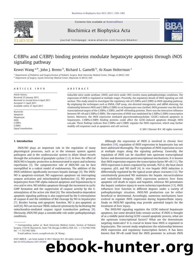CEBPÎ± and CEBPÎ² binding proteins modulate hepatocyte apoptosis through iNOS signaling pathway by Kewei Wang & John J. Brems & Richard L. Gamelli & Ai-Xuan Holterman