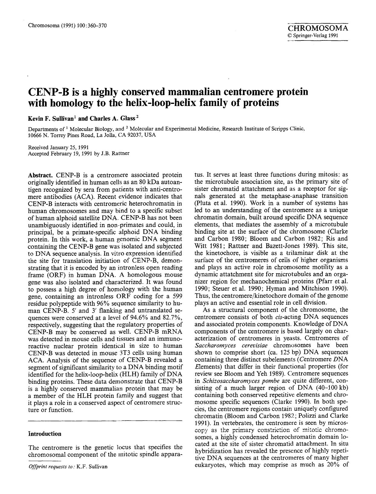 CENP-B is a highly conserved mammalian centromere protein with homology to the helix-loop-helix family of proteins by Unknown