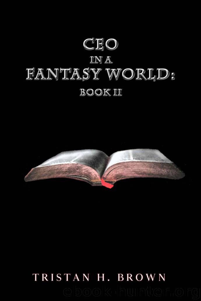 CEO in a Fantasy World 2 by Tristan Brown