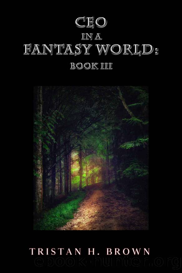 CEO in a Fantasy World: Book 3 by Tristan H. Brown
