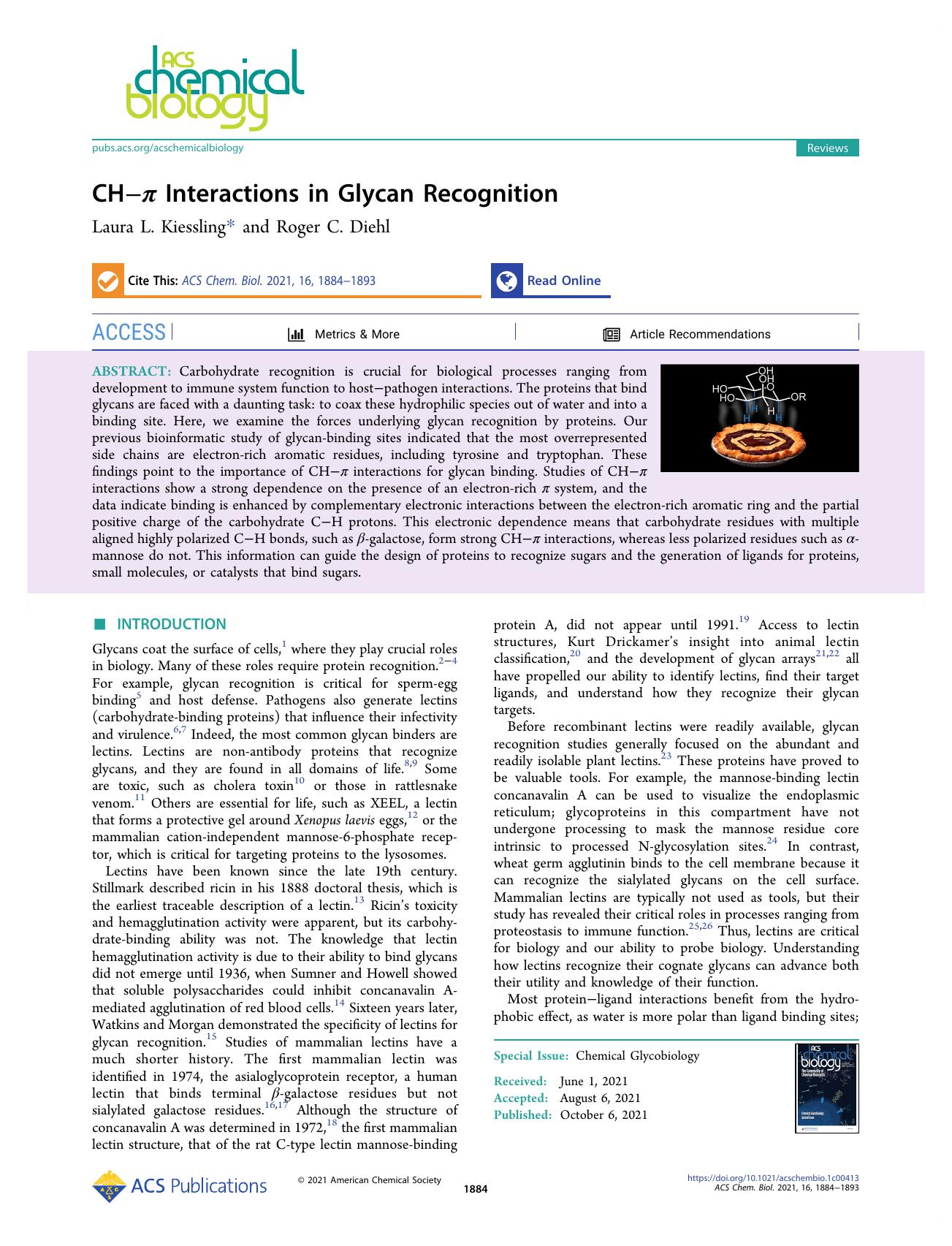 CHâÏ Interactions in Glycan Recognition by Laura L. Kiessling and Roger C. Diehl