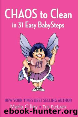 CHAOS to Clean: in 31 Easy BabySteps by Marla Cilley