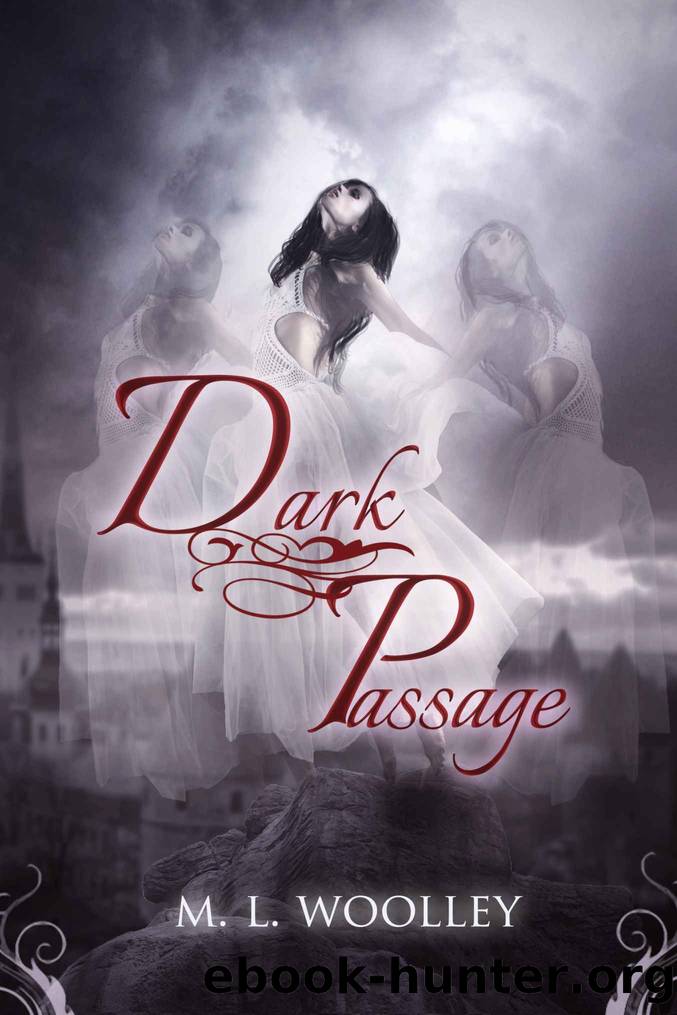 CHOSEN" Dark Passage by M.L. Woolley