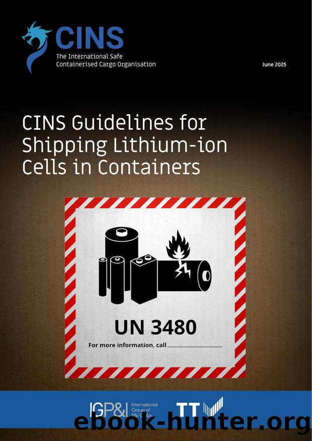 CINS Lithium-ion Cells Guidelines 2025 by Unknown