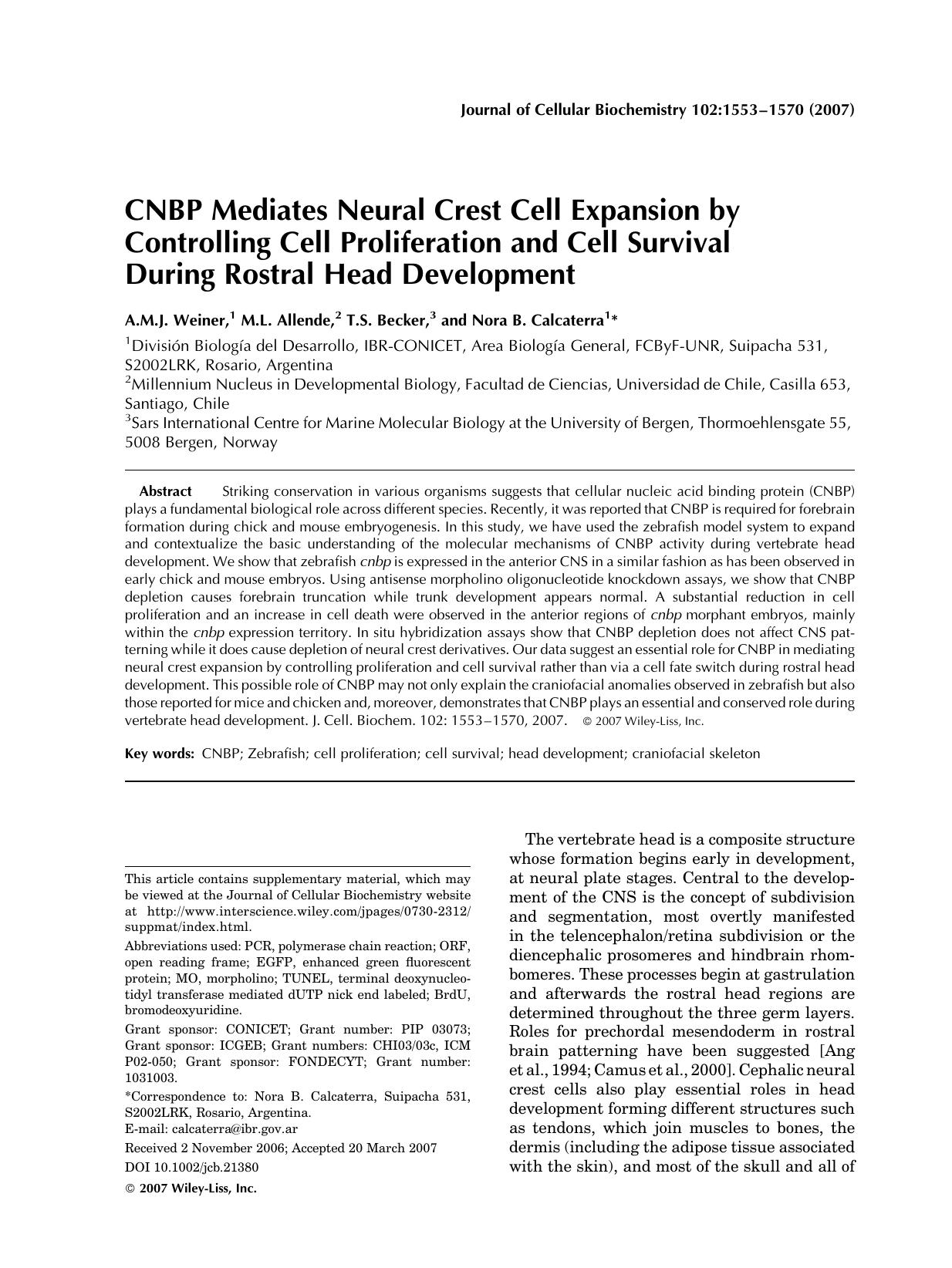 CNBP mediates neural crest cell expansion by controlling cell proliferation and cell survival during rostral head development by Unknown
