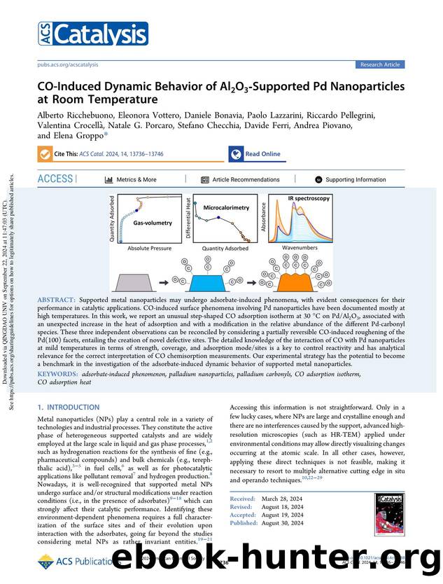 CO-Induced Dynamic Behavior of Al2O3-Supported Pd Nanoparticles at Room Temperature by unknow