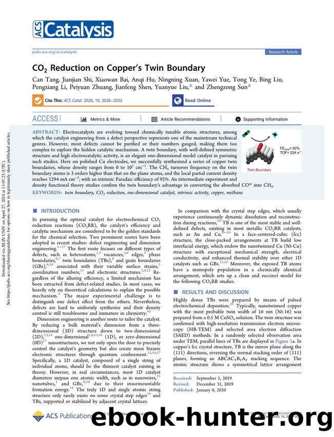 CO2 Reduction on Copperâs Twin Boundary by unknow