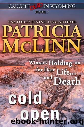 COLD OPEN by PATRICIA McLINN