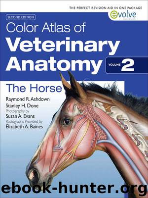 COLOR ATLAS OF VETERINARY ANATOMY, Volume 2, THE HORSE by unknow