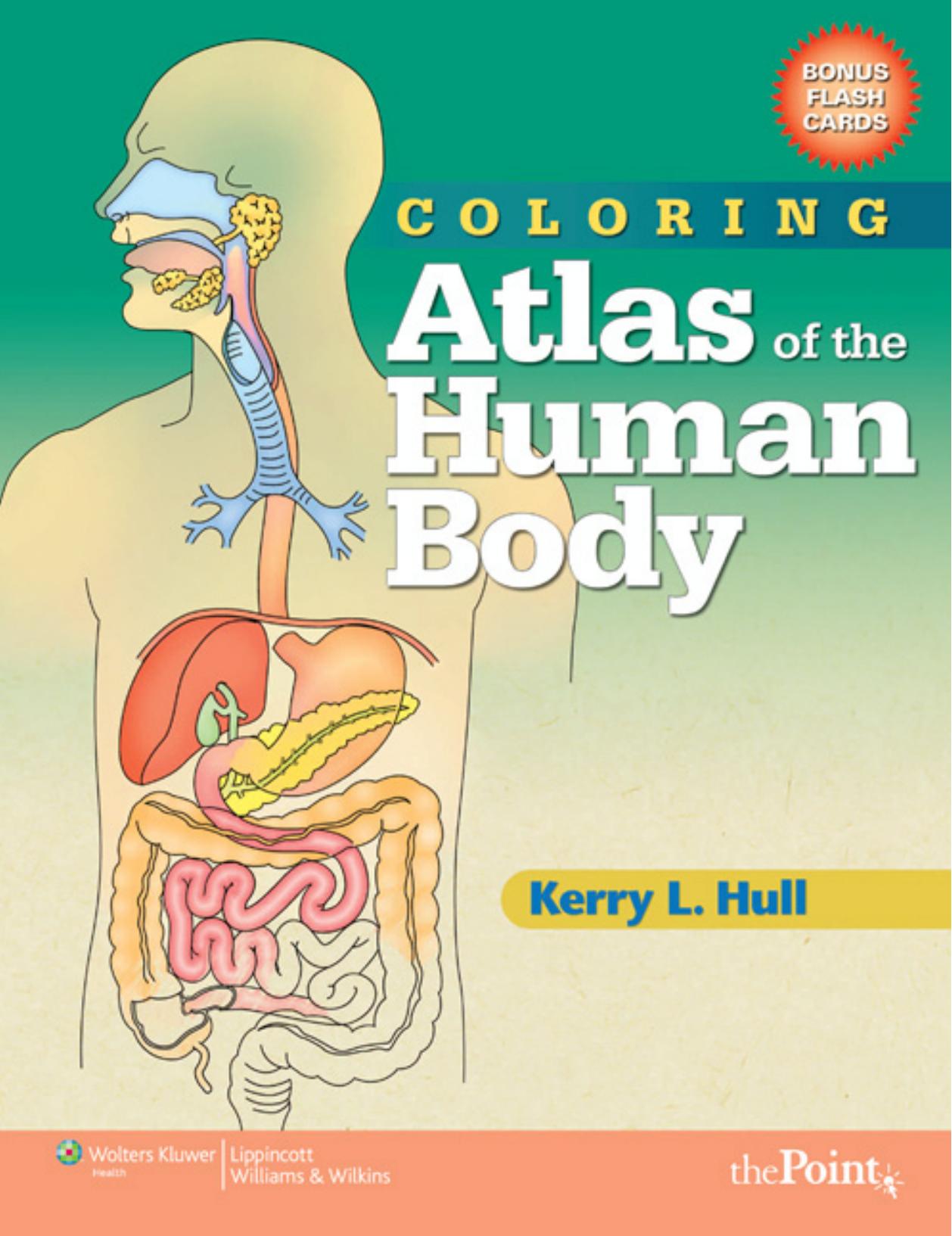 COLORING Atlas of the Human Body by Kerry L. Hull & BSc & PhD