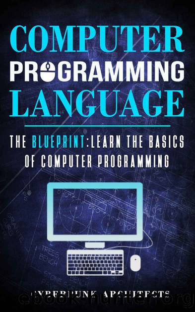 COMPUTER PROGRAMMING LANGUAGES: THE BLUEPRINT Learn The Basics Of Computer Programming (CyberPunk Blueprint Series) by CyberPunk Architects