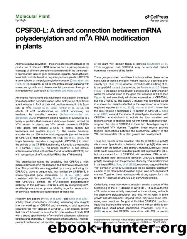 CPSF30-L: A direct connection between mRNA polyadenylation and m6A RNA modification in plants by Arthur G. Hunt