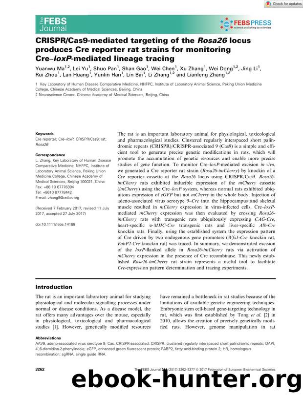 CRISPRCas9âmediated targeting of the Rosa26 locus produces Cre reporter rat strains for monitoring CreâloxPâmediated lineage tracing by Unknown