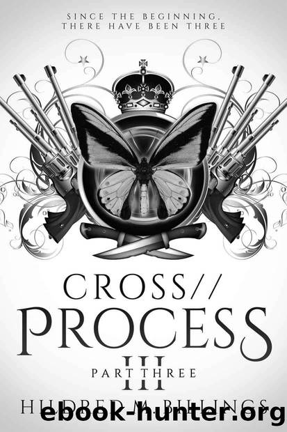 CROSSProcess, Part 3 by Billings Hildred M
