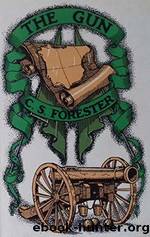 CS Forester by The Gun (html)