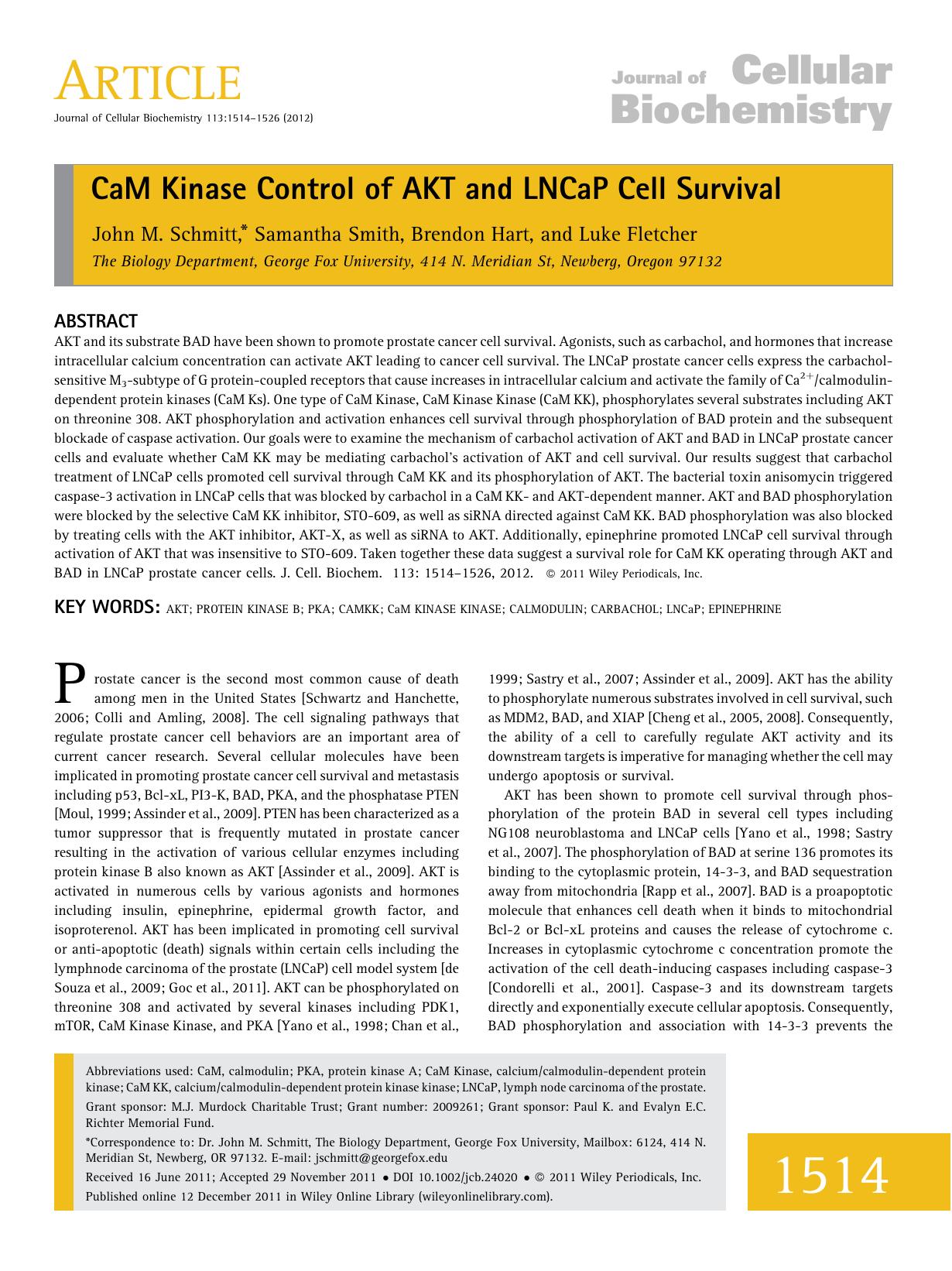 CaM kinase control of AKT and LNCaP cell survival by Unknown