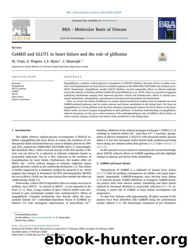 CaMKII and GLUT1 in heart failure and the role of gliflozins by M. Trum & S. Wagner & L.S. Maier & J. Mustroph