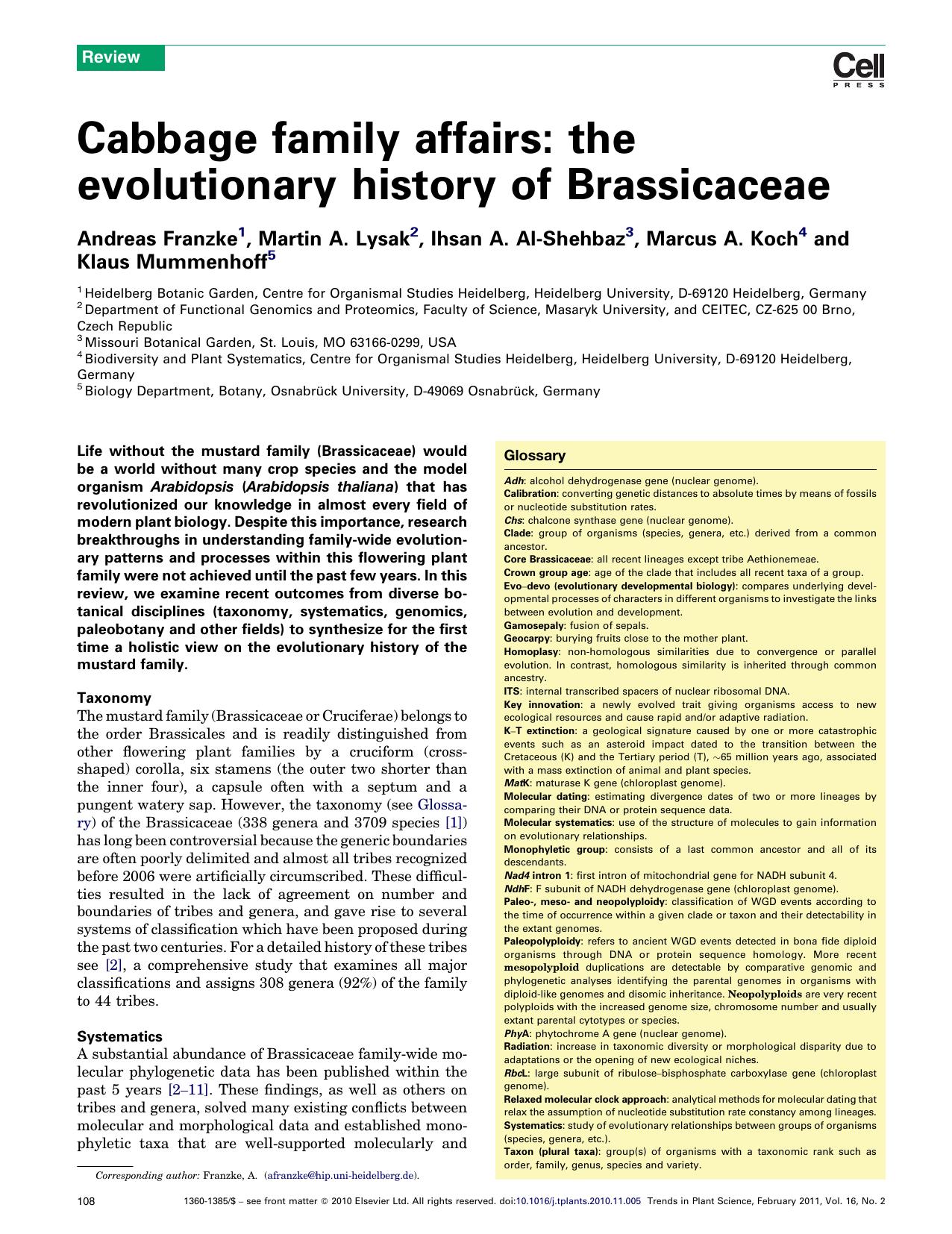 Cabbage family affairs: the evolutionary history of Brassicaceae by Andreas Franzke