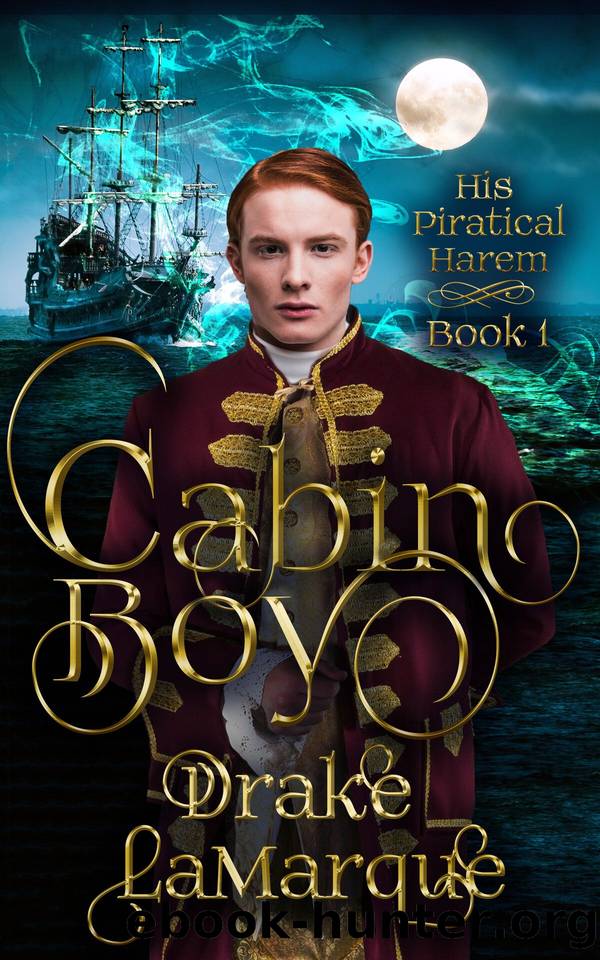 Cabin Boy (His Piratical Harem Book 1) by Drake LaMarque
