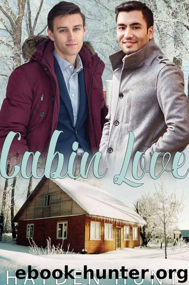 Cabin Love by Hayden Hunt