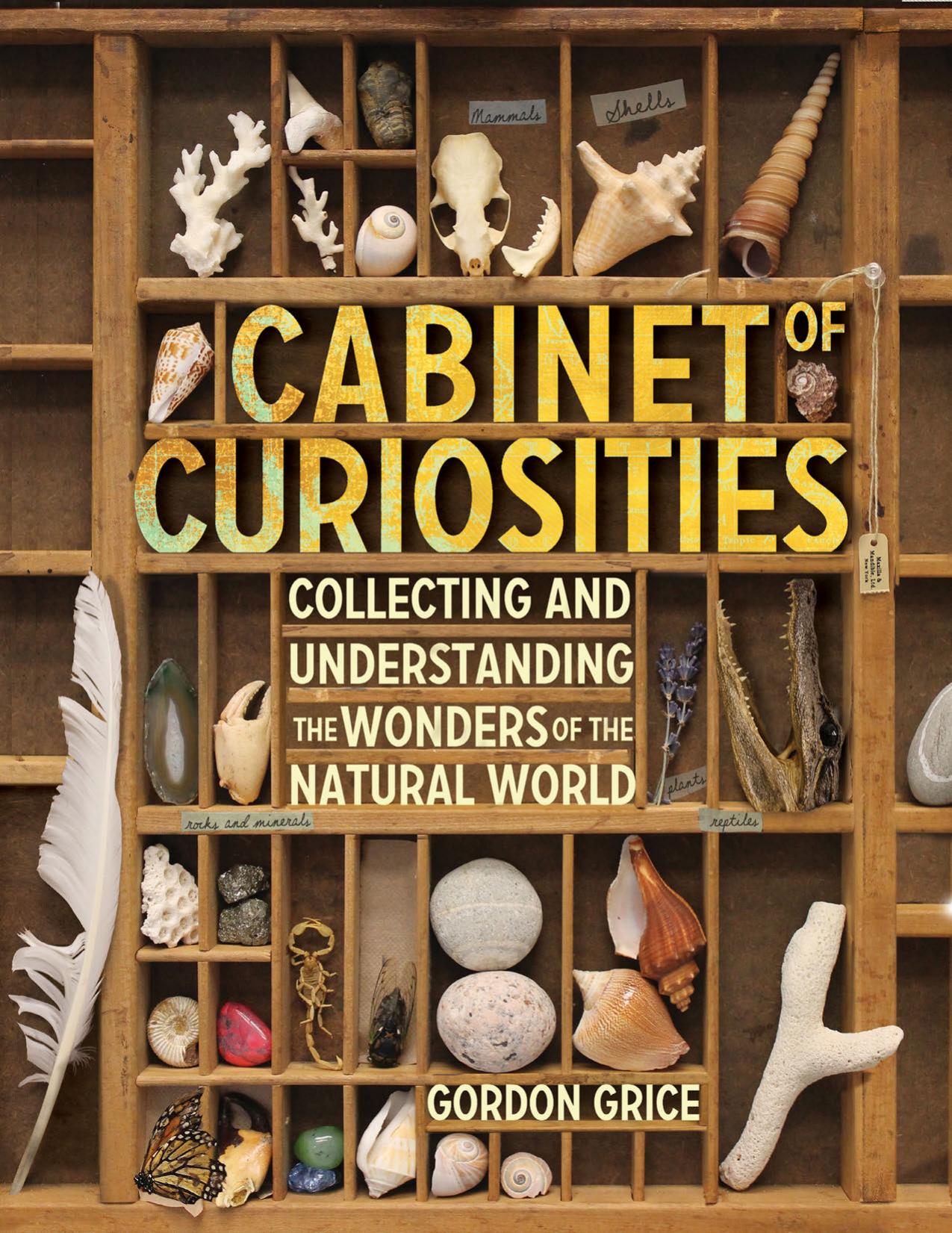 Cabinet of curiosities: a kid's guide to collecting and understanding the wonders of the natural world by Grice Gordon