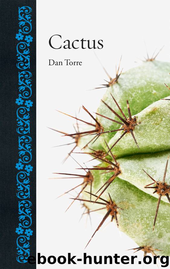 Cactus (Botanical) by Torre Dan