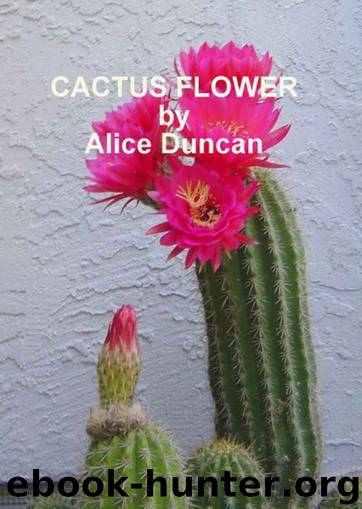 Cactus Flower by Duncan Alice