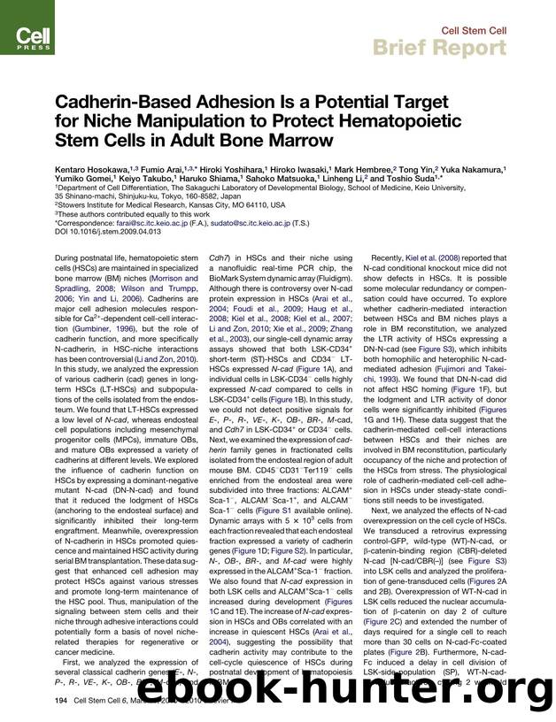 Cadherin-Based Adhesion Is a Potential Target for Niche Manipulation to Protect Hematopoietic Stem Cells in Adult Bone Marrow by unknow