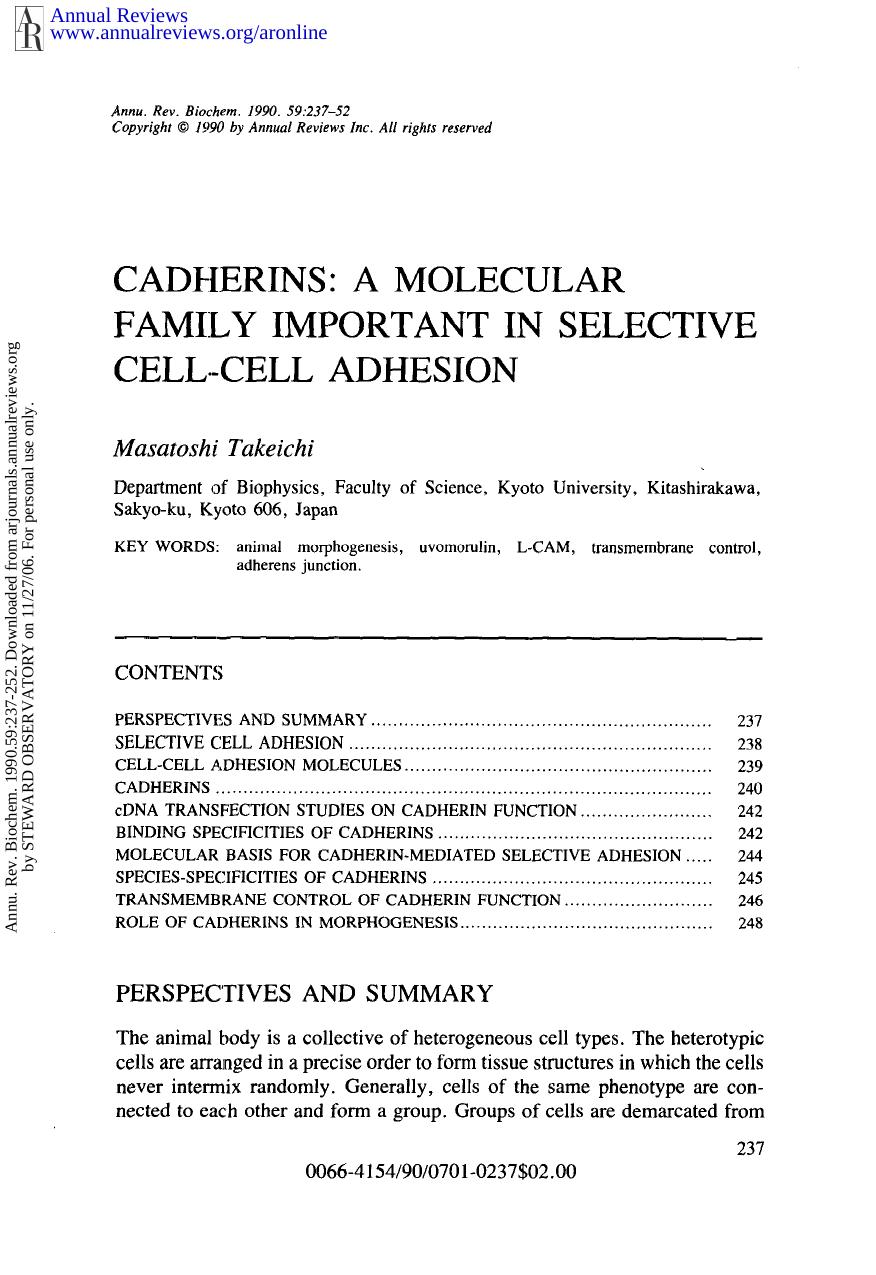 Cadherins: A Molecular Family Important in Selective Cell-Cell Adhesion by M Takeichi