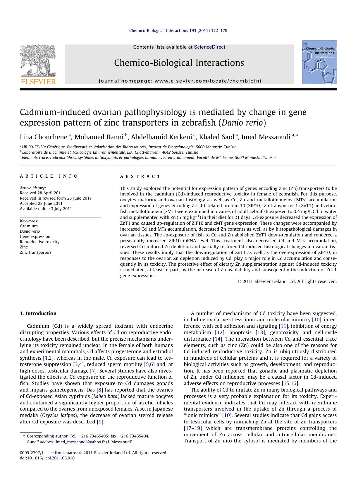Cadmium-induced ovarian pathophysiology is mediated by change in gene expression pattern of zinc transporters in zebrafish (Danio rerio) by Lina Chouchene & Mohamed Banni & Abdelhamid Kerkeni & Khaled Saïd & Imed Messaoudi