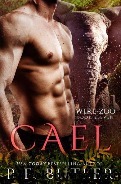 Cael (Were Zoo Book 11) by R. E. Butler