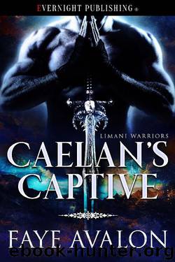 Caelan's Captive by Faye Avalon