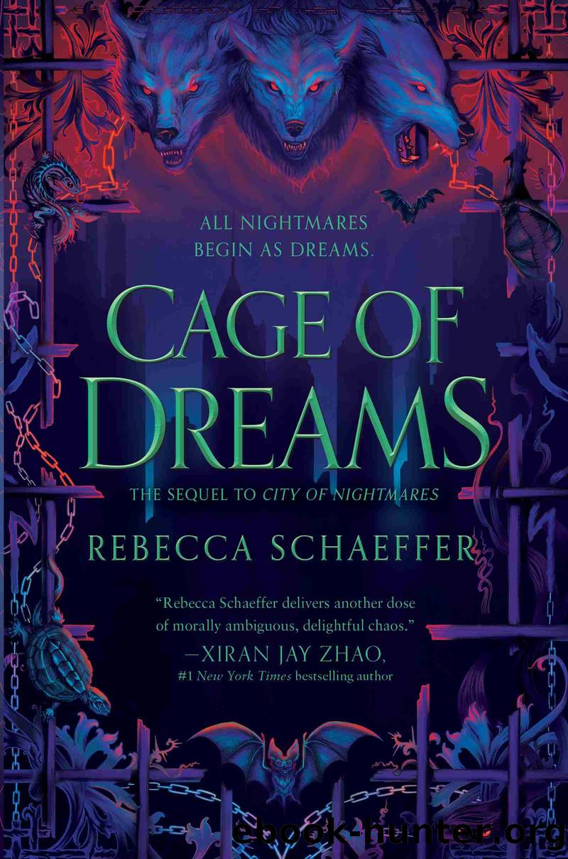 Cage of Dreams by Rebecca Schaeffer