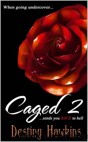 Caged 2 by Destiny Hawkins