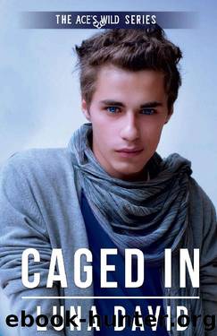 Caged In by Luna David