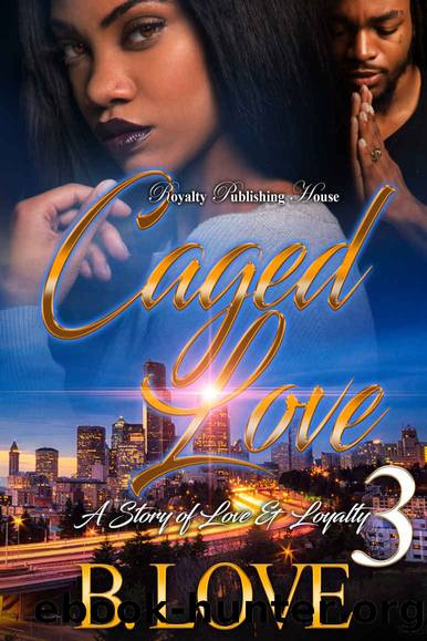 Caged Love 3 by B. Love