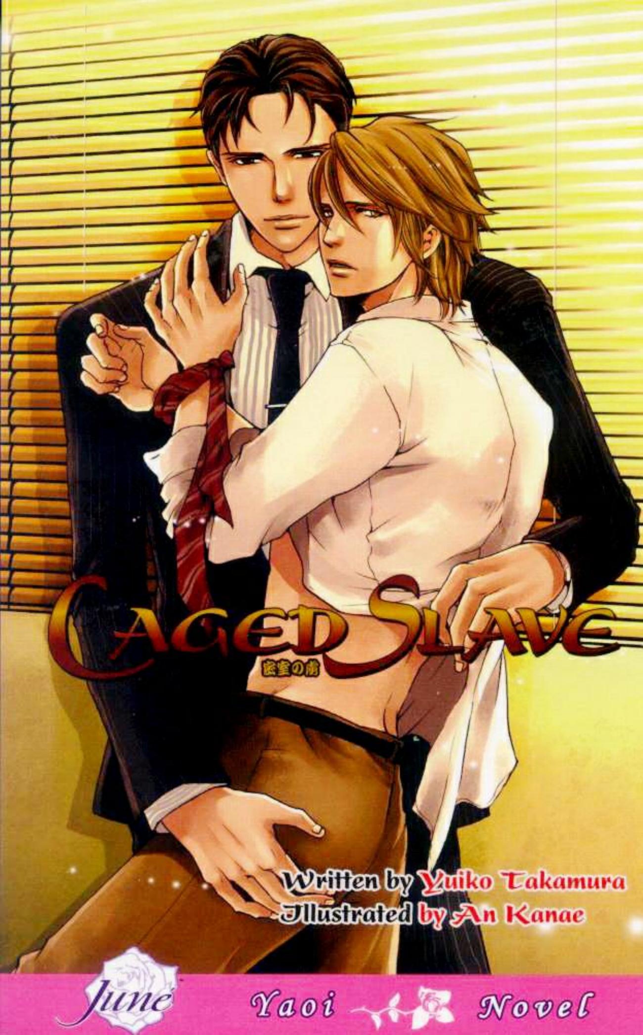 Caged Slave by Complete