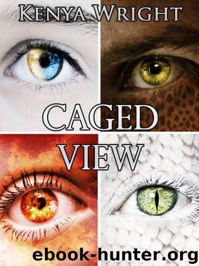 Caged View (An Urban Fantasy Collection of Short Stories) (Habitat .5 Series) by Kenya Wright