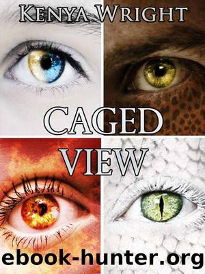 Caged View (Dark Urban Fantasy Horror Romance) by Kenya Wright
