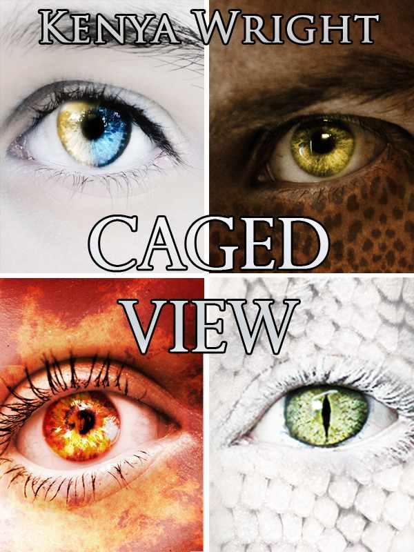 Caged View (Dark Urban Fantasy/ Horror Romance) (Santeria Habitat Series .5)
