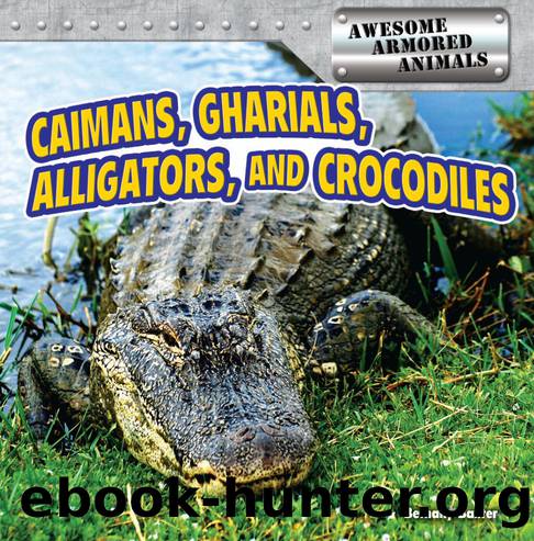 Caimans, Gharials, Alligators, and Crocodiles by Bethany Baxter