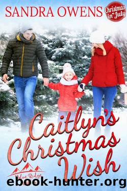 Caitlyn's Christmas Wish by Sandra Owens