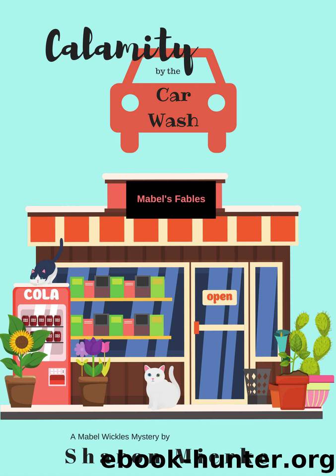 Calamity by the Carwash by Sharon Mierke