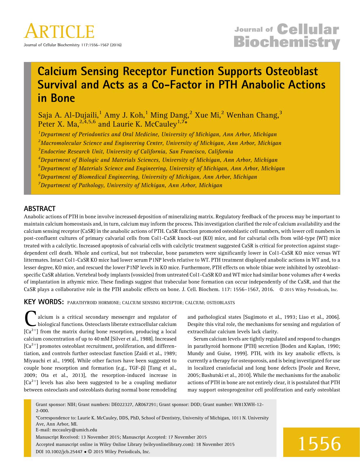 Calcium Sensing Receptor Function Supports Osteoblast Survival and Acts as a Co-Factor in PTH Anabolic Actions in Bone by Unknown