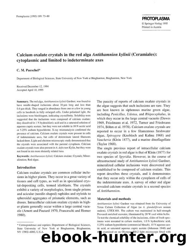 Calcium oxalate crystals in the red alga <Emphasis Type="Italic">Antithamnion kylinii <Emphasis> (Ceramiales): cytoplasmic and limited to indeterminate axes by Unknown