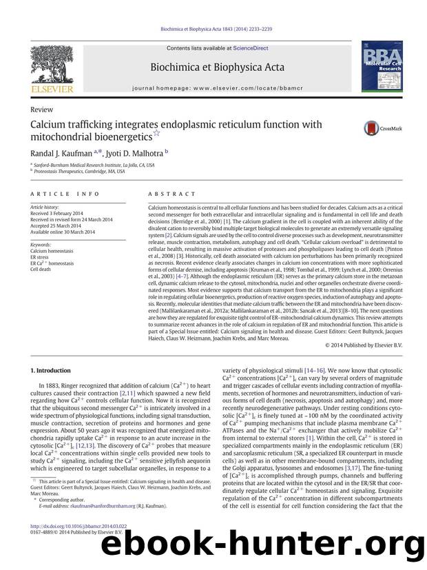 Calcium trafficking integrates endoplasmic reticulum function with mitochondrial bioenergetics by Randal J. Kaufman & Jyoti D. Malhotra