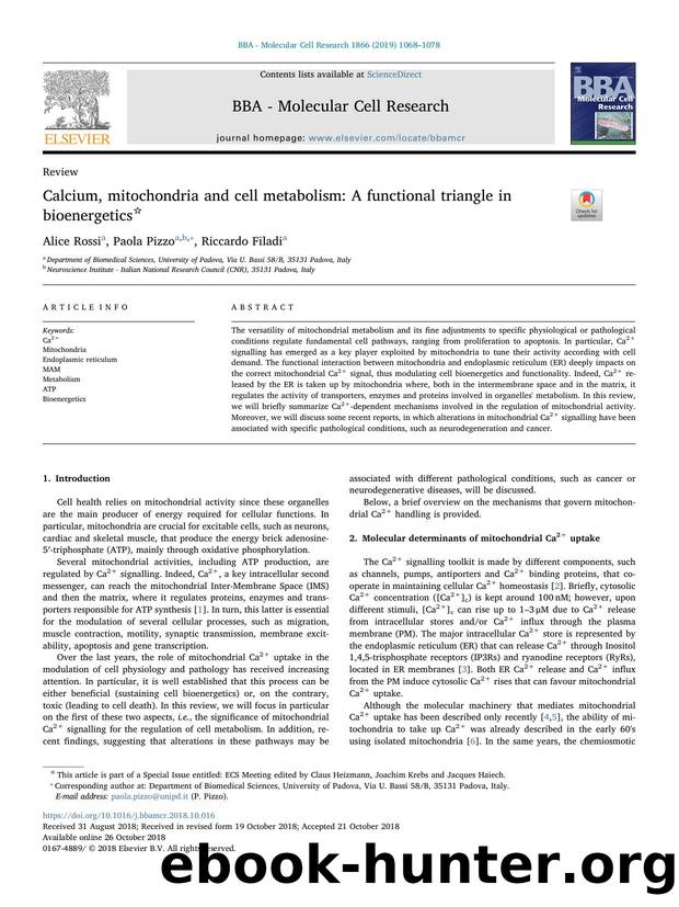 Calcium, mitochondria and cell metabolism_ A functional triangle in bioenergetics by Alice Rossi & Paola Pizzo & Riccardo Filadi