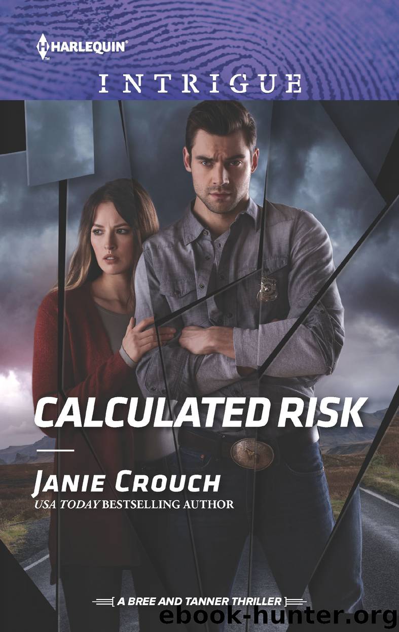 Calculated Risk by Janie Crouch
