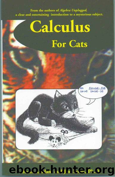 Calculus For Cats by Kenn Amdahl